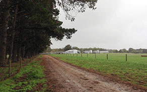 抢滩澳洲奶牛农牧基地，E-LETSGO助力天津乳企成功“走出去”